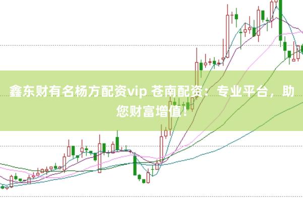 鑫东财有名杨方配资vip 苍南配资：专业平台，助您财富增值！