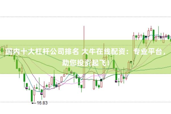 国内十大杠杆公司排名 大牛在线配资：专业平台，助您投资起飞！