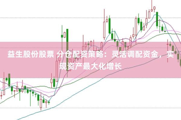 益生股份股票 分仓配资策略：灵活调配资金，实现资产最大化增长