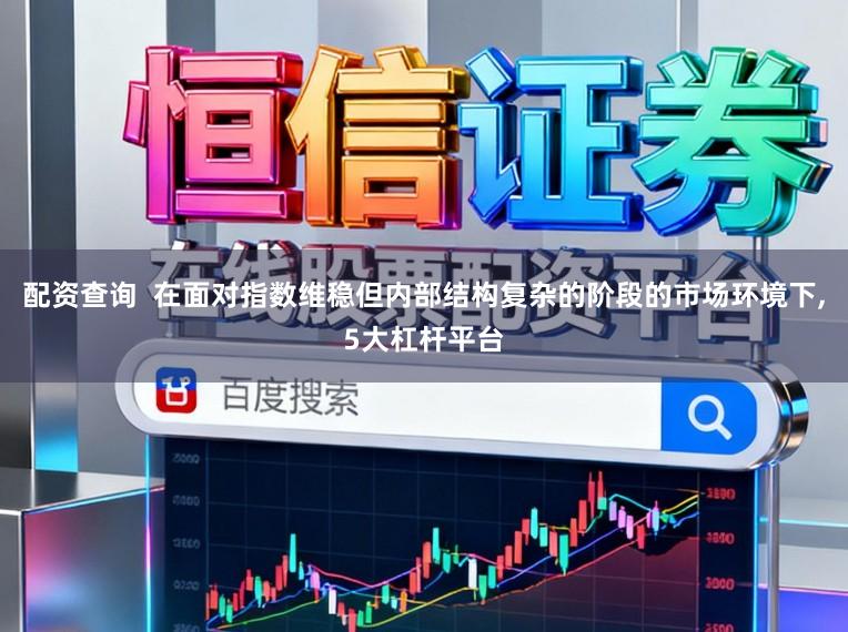 配资查询  在面对指数维稳但内部结构复杂的阶段的市场环境下,5大杠杆平台